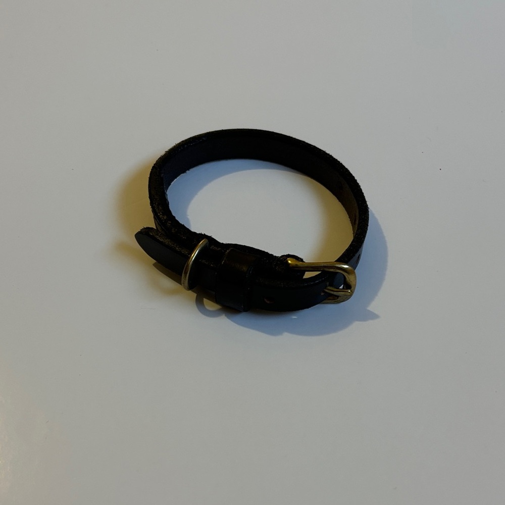 NEW Brown Leather Dog Collar with Gold Tone Metal Buckle